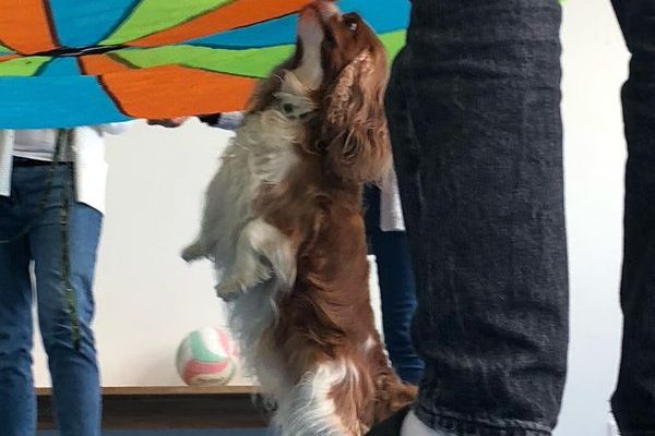 351335527_942459333651792_3927052386265392815_n